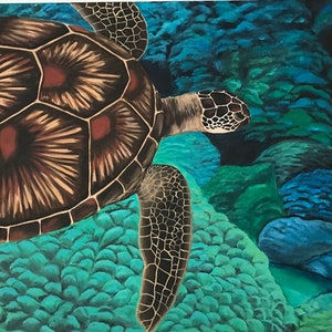 Hawaiian Sea Turtle