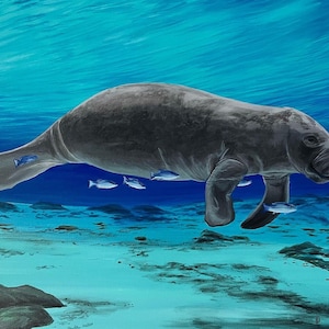 Manatee artwork