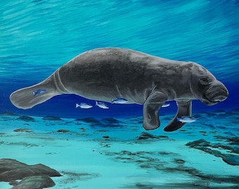 Manatee Painting, Florida Art, Sea Cow Wall Art