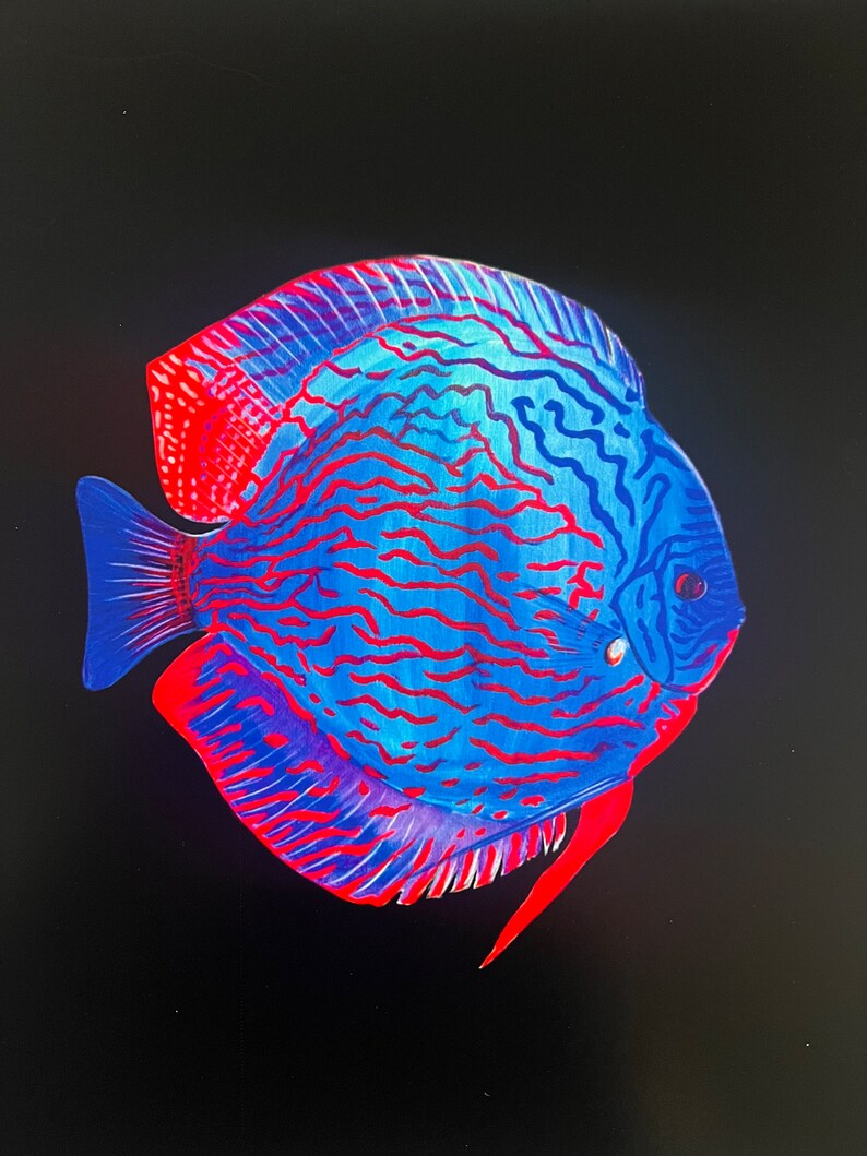 Discus Print Discus Fish Art Print - Etsy