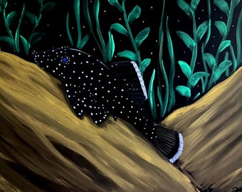 White seam starlight pleco fish painting