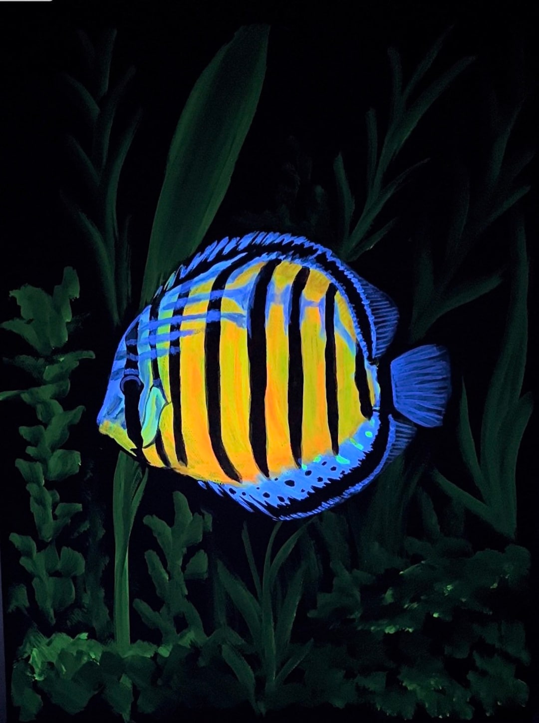 Discus Fish Artwork Aquarium Painting Fish Art Etsy
