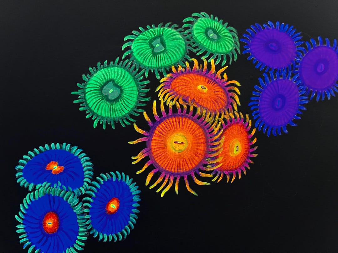 Zoanthid Black Light Reactive Painting - Etsy
