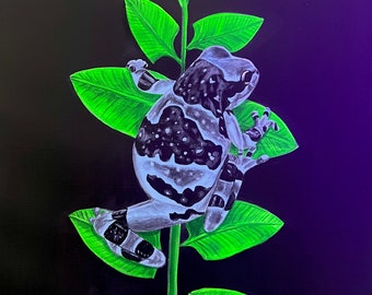 Amazon milk frog painting