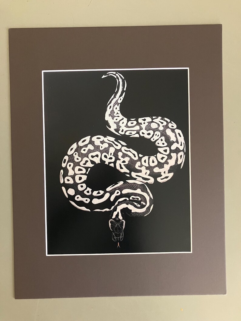 Ghost ball python artwork 11x14 matted print inches