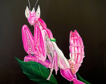 orchid mantis artwork