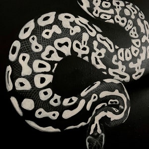 Ghost ball python artwork image 2