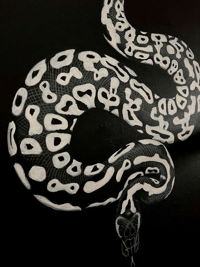 Ghost ball python artwork image 2