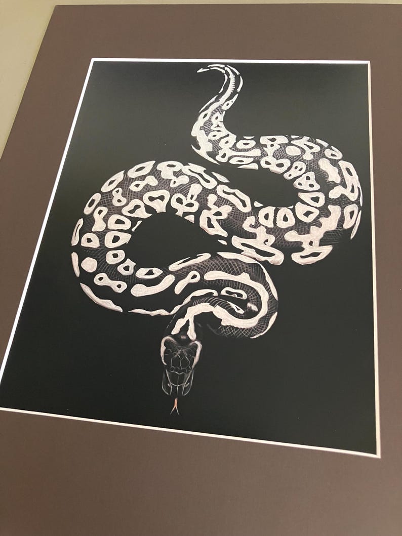 Ghost ball python artwork image 5