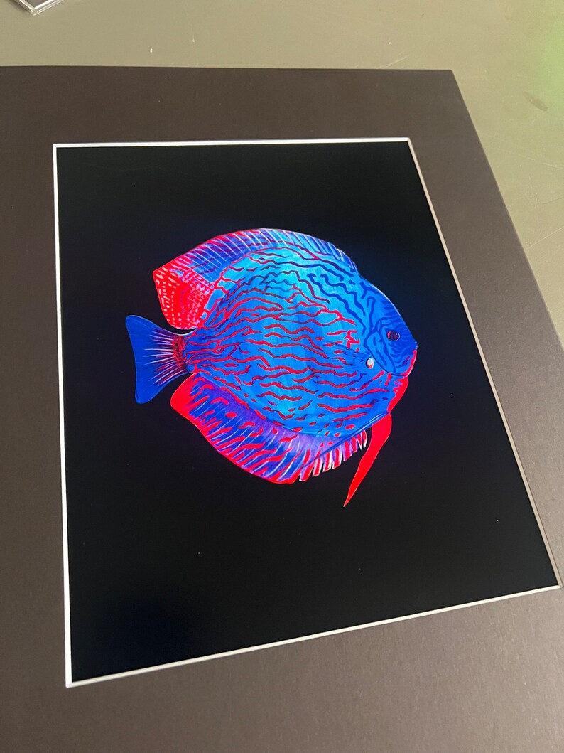 Discus Print Discus Fish Art Print - Etsy