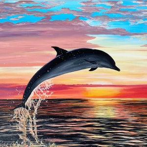 Dolphin dreams