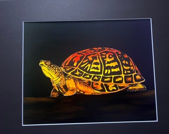 Box turtle art print