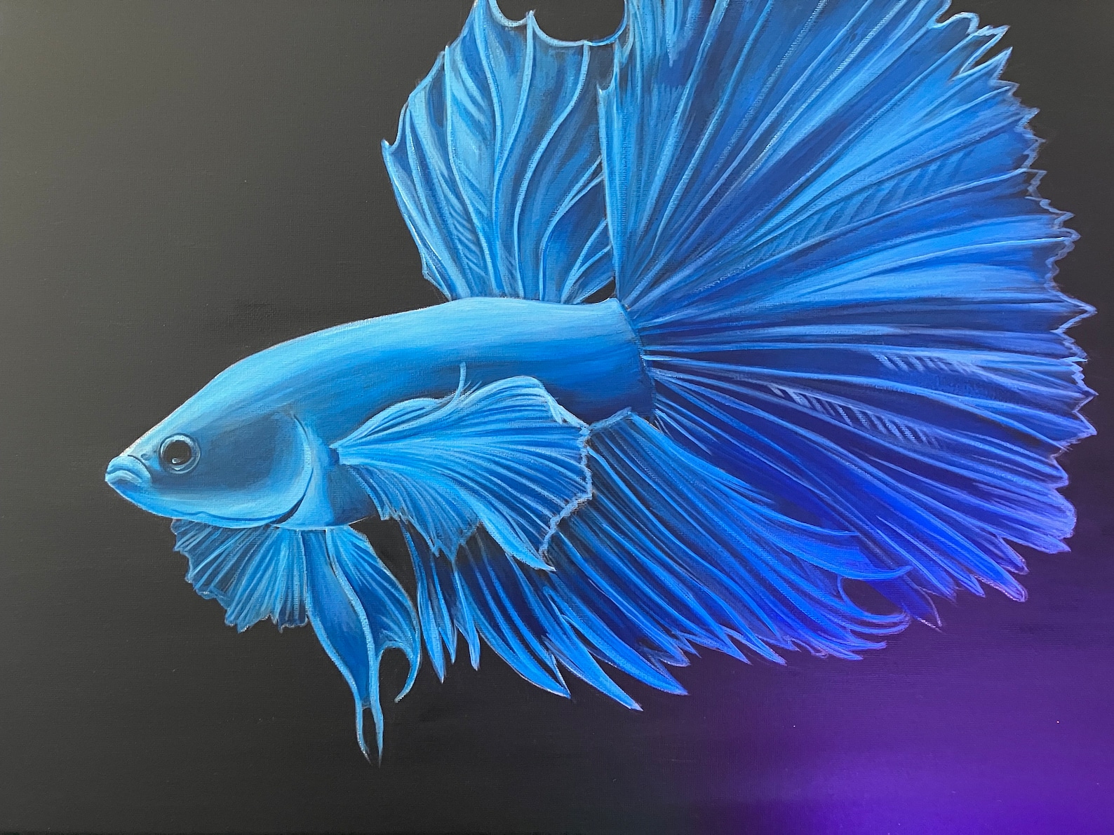Blue Betta Fish Art - Etsy