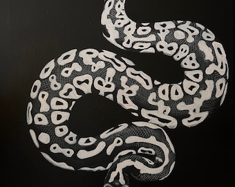 Ghost ball python artwork