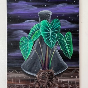 Hawaiian Taro/ Lo’i