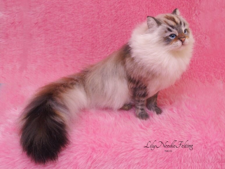 Needle Felted Saiberian Cat Needle Felt Cat Needle Felting Etsy