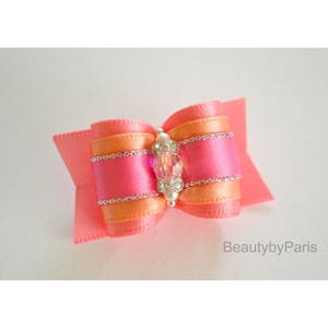 Coral Infusion 7/8&quot; Dog Bow