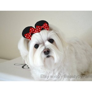 Soft Black Ears Dog Bow