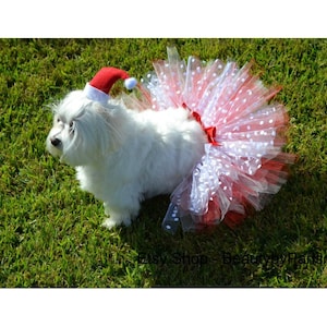 Santa Claus Tutu Set for Dogs