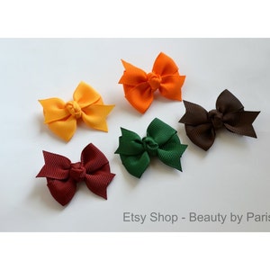 Fall Colored Pinwheel - Dog Bow