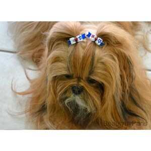 3/8 Country Stars Pigtails Extra Tiny Dog Bows image 3