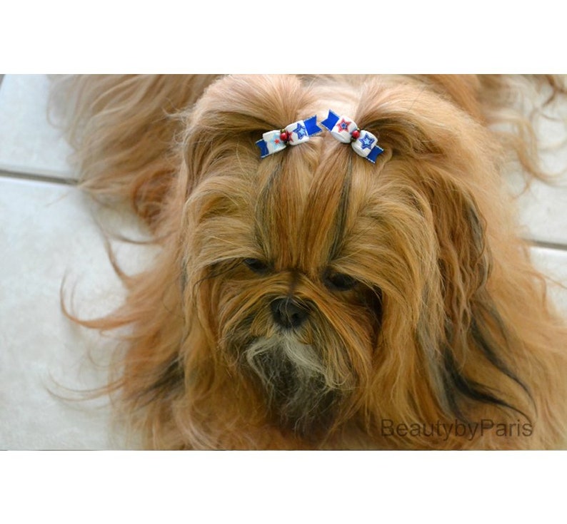 3/8 Country Stars Pigtails Extra Tiny Dog Bows image 3