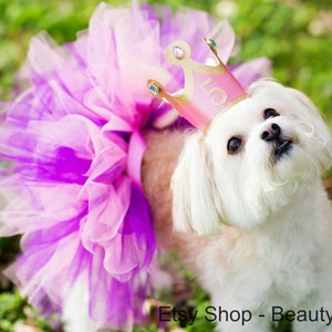 Dog Birthday Princess Tutu & Crown- Pink and Purple, Solid Pink or Solid Purple