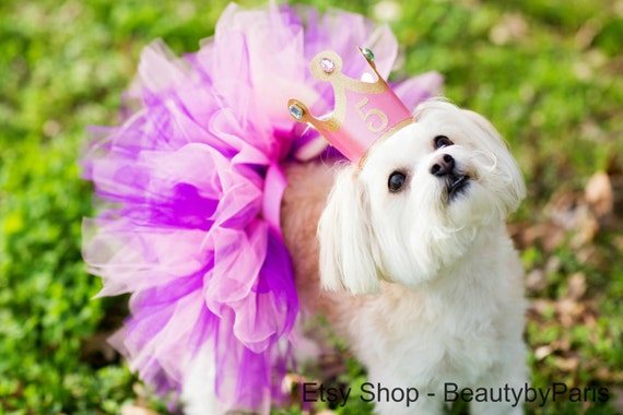 dog birthday tutu