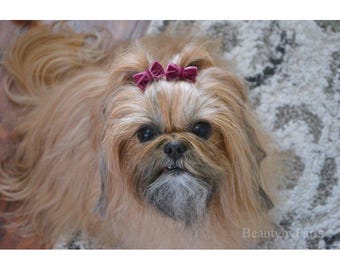 Velvet Bow - Tiny 1" Dog Bow, You choose color. Single Bow or Pigtail Pairs.