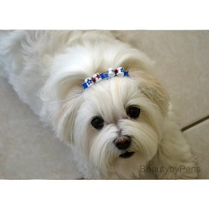 3/8 Country Stars Pigtails Extra Tiny Dog Bows image 2