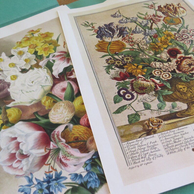 New York 1937 Victorian Designs House /& Garden/'s Portfolio of FLOWER PRINTS 25 Flower Prints and Their Makers Cond\u00e9 Nast Publications Inc