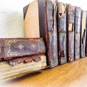 Set of 10 Volumes Works of Victor Hugo Antiquarian Books. Hugo considered to be of the greatest French writers of all time. Les Miserables