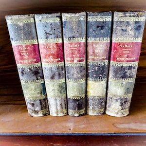 Rare 1873 Valleix Medical Guide - Antique Spanish Book Set
