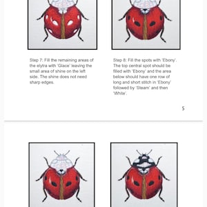 Digital Booklet 'Needlepainted Seven Spot Ladybird Instructions' PDF Digital Download image 5