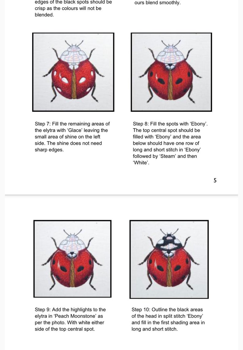 Digital Booklet 'Needlepainted Seven Spot Ladybird Instructions' PDF Digital Download image 5