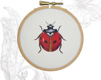 Fysiek boekje: Needlepainting Seven Spot Ladybird instructies