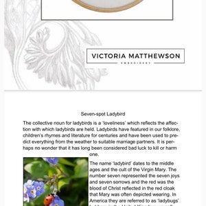 Digital Booklet 'Needlepainted Seven Spot Ladybird Instructions' PDF Digital Download image 3