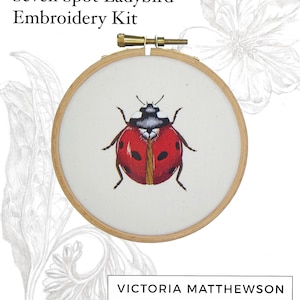 Digital Booklet 'Needlepainted Seven Spot Ladybird Instructions' PDF Digital Download image 1