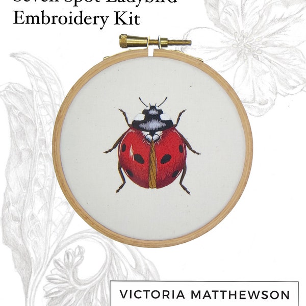 Digital Booklet 'Needlepainted Seven Spot Ladybird Instructions' - PDF Digital Download