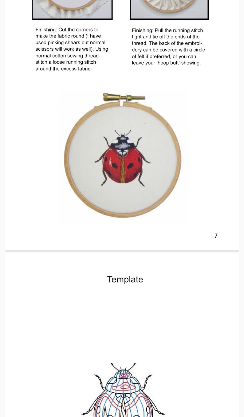 Digital Booklet 'Needlepainted Seven Spot Ladybird Instructions' PDF Digital Download image 4