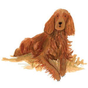 May include: A watercolor illustration of a long-haired, reddish-brown dog lying down. The dog has floppy ears, a dark nose, and a gentle expression. The artwork features visible brushstrokes and textured paint application in shades of brown.