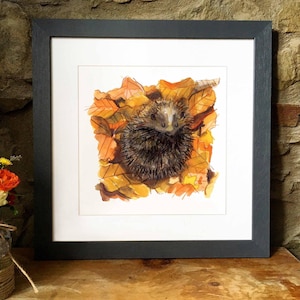 Cozy Igel - illustrierter Druck