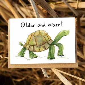 Older and wiser! Tortoise Birthday Card