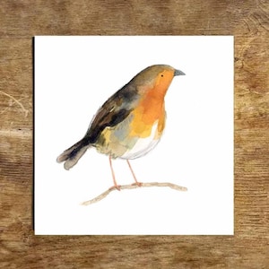 Illustrated Robin Print