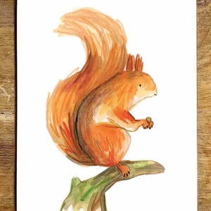 Red Squirrel Illustration- Original Artwork