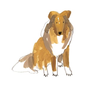 Può includere: Illustrazione ad acquerello di un cane Collie nei toni del marrone, beige e bianco. Il cane è seduto, rivolto in avanti, con la testa leggermente inclinata. L'opera d'arte ha uno stile morbido e artistico.