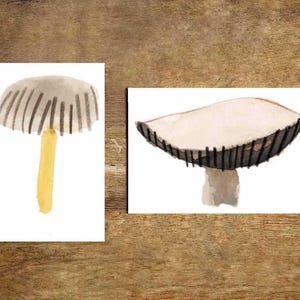 Little Mushroom Paintings- 2 Options