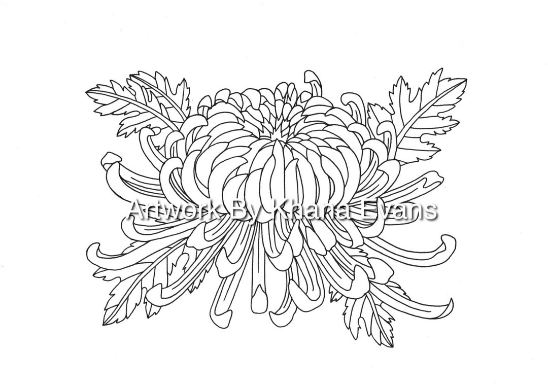 Chrysanthemum Flower Tattoo Design PDF A4 Printout Colouring Page Sheet