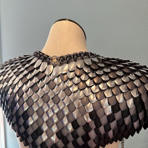May include: A silver and black scale mail shoulder piece. The armor is made of overlapping metal scales, creating a textured surface. The scales transition from silver to black, with a chain detail.
