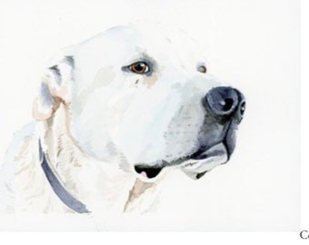 Gift Card for a Custom Pet Portrait